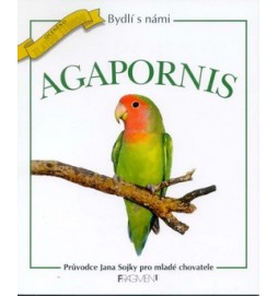 Agapornis