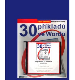 30 příkladů ve Wordu + CD