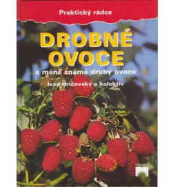 Drobné ovoce a méně známé druhy ovoce