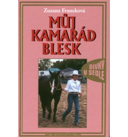 Můj kamarád Blesk