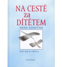 Na cestě za dítětem