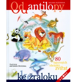 Od antilopy ke žraloku