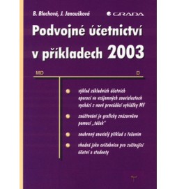 Podvojné účetnictví v příkladech 2003