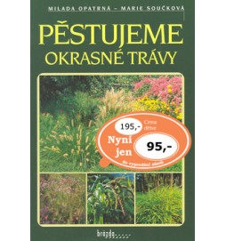 Pěstujeme okrasné trávy