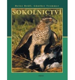 Sokolnictví