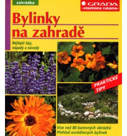 Bylinky na zahradě