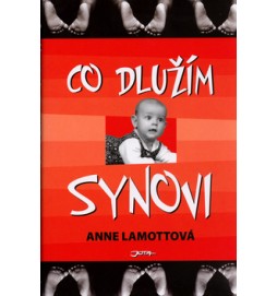 Co dlužím synovi