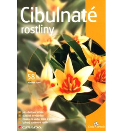 Cibulnaté rostliny