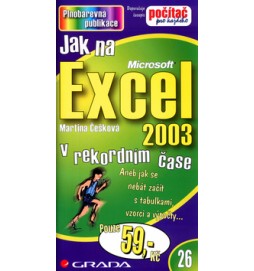 Jak na Excel 2003 v rekordním čase