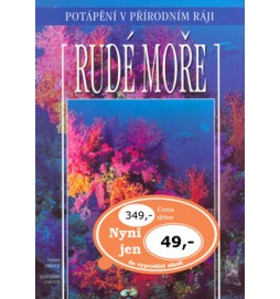 Rudé moře - potápění v přírodním ráji