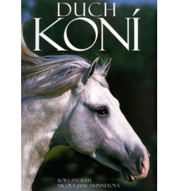 Duch koní