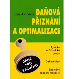 Daňová přiznání a optimalizace