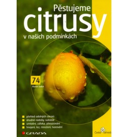 Pěstujeme citrusy v našich podmínkách