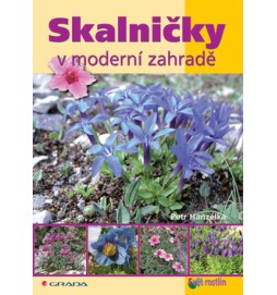 Skalničky v moderní zahradě