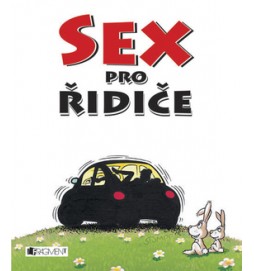 Sex pro řidiče