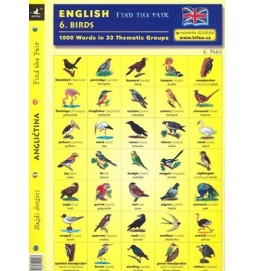 English - Find the Pair 1. Birds