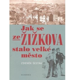 Jak se ze Žižkova stalo velké město