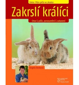 Zakrslí králíci