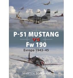 P-51 Mustang vs FW 190