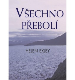 Všechno přebolí