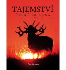 Tajemství českého lesa