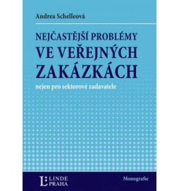 Nejčastější problémy ve veřejných zakázkach