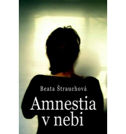 Amnestia v nebi