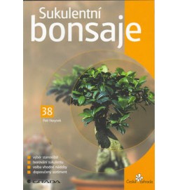 Sukulentní bonsaje