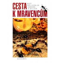 Cesta k mravencům