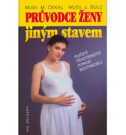 Průvodce ženy jiným stavem