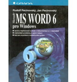 MS Word 6 pro Windows