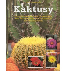 Kaktusy