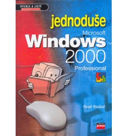 Microsoft Windows 2000 professional