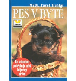 Pes v bytě