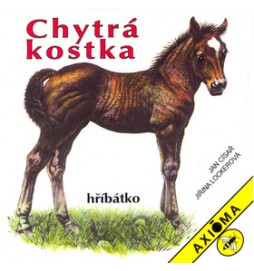 Chytrá kostka