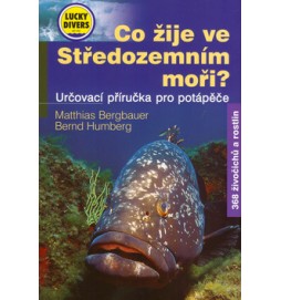 Co žije ve Středozemním moři?