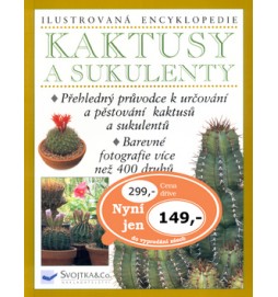 Kaktusy a sukulenty