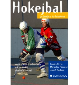 Hokejbal