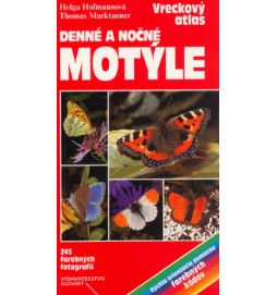 Denné a nočné motýle