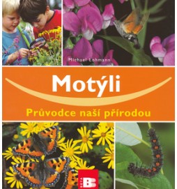 Motýli