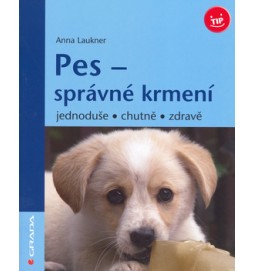 Pes - správné krmení