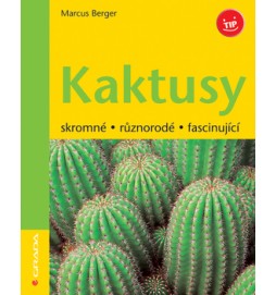 Kaktusy