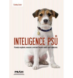 Inteligence psů