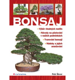 Bonsaj