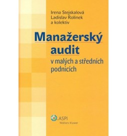 Manažerský audit v malých a středních podnicích