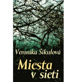 Miesta v sieti