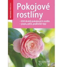 Pokojové rostliny