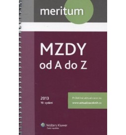 Mzdy od A do Z 2013