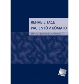 Rehabilitace pacientů v kómatu