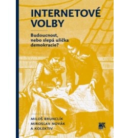 Internetové volby